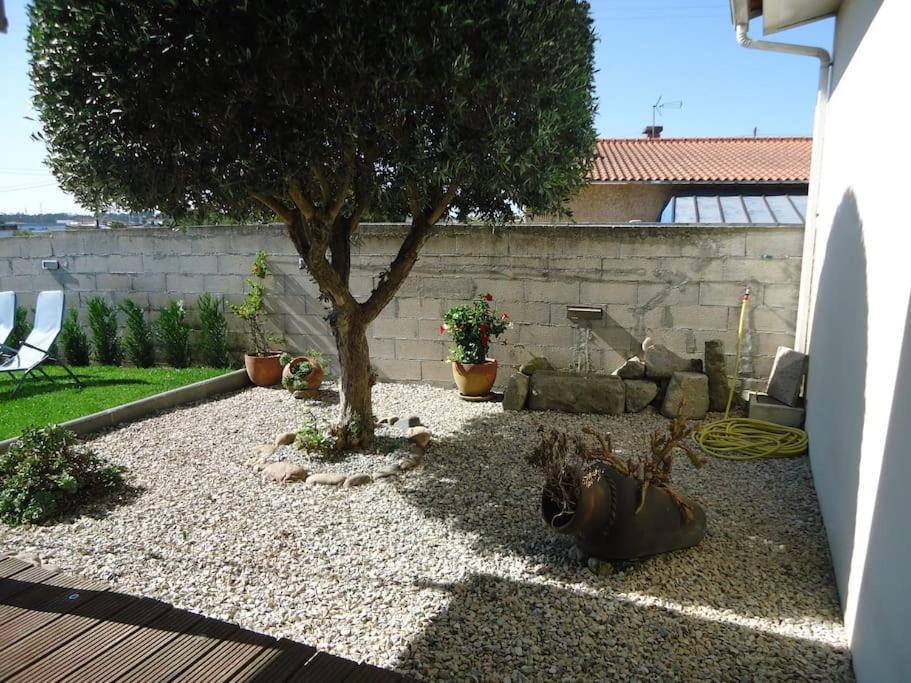 Villa House With Pool Casa Da Faia - Aveiro Avanca Exterior foto