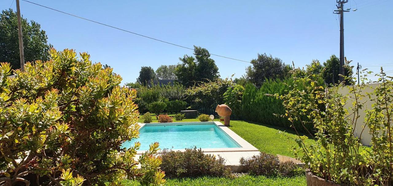Villa House With Pool Casa Da Faia - Aveiro Avanca Exterior foto